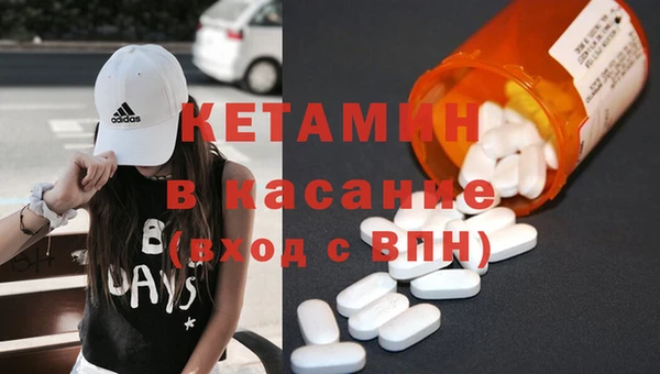 шишки Няндома