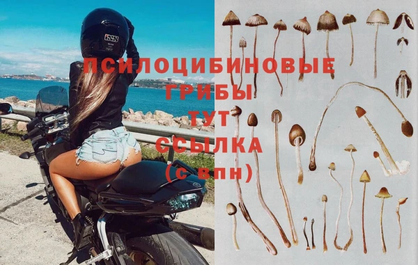 мет Новозыбков