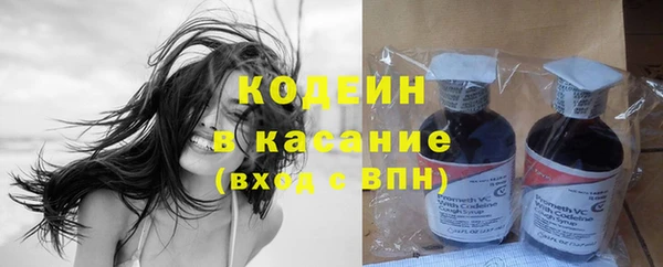 шишки Няндома