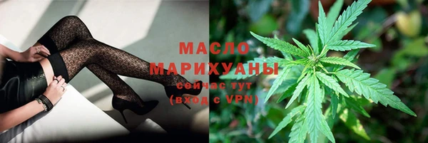 мет Новозыбков