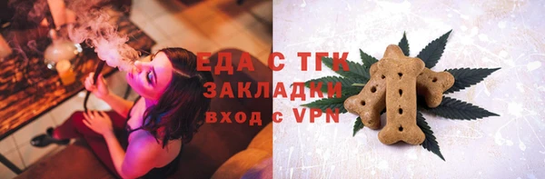 шишки Няндома