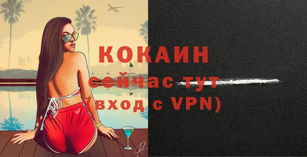 шишки Няндома