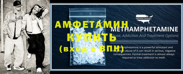 шишки Няндома