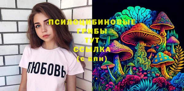 соль курить ск Нязепетровск