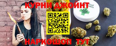 сатива Заводоуковск