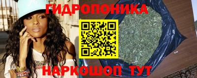 гидра Заволжье