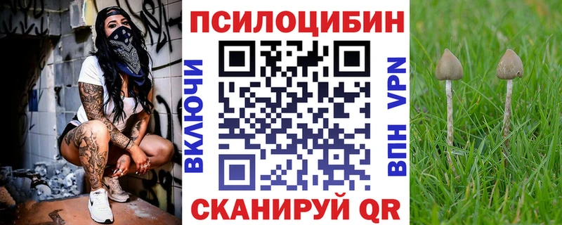 shop клад  Новоалександровск  Псилоцибиновые грибы ЛСД  где купить наркоту 