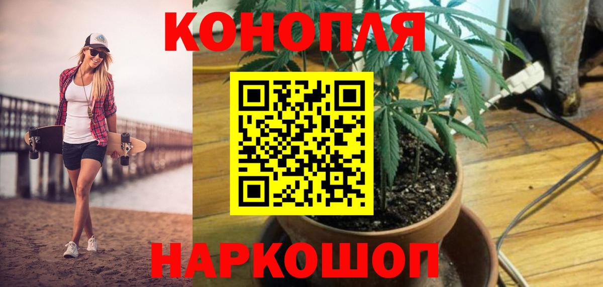 Шишки марихуана конопля  Вход с VPN  Новоалександровск  Марихуана семена  Каннабис марихуана  Бошки Шишки AK-47 